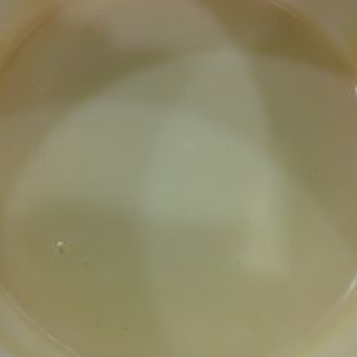 冷凍しても固まらない!ホワイトチョコガナッシュ